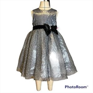 NWT Silver Blue Glitter Tulle Dress Size 3T